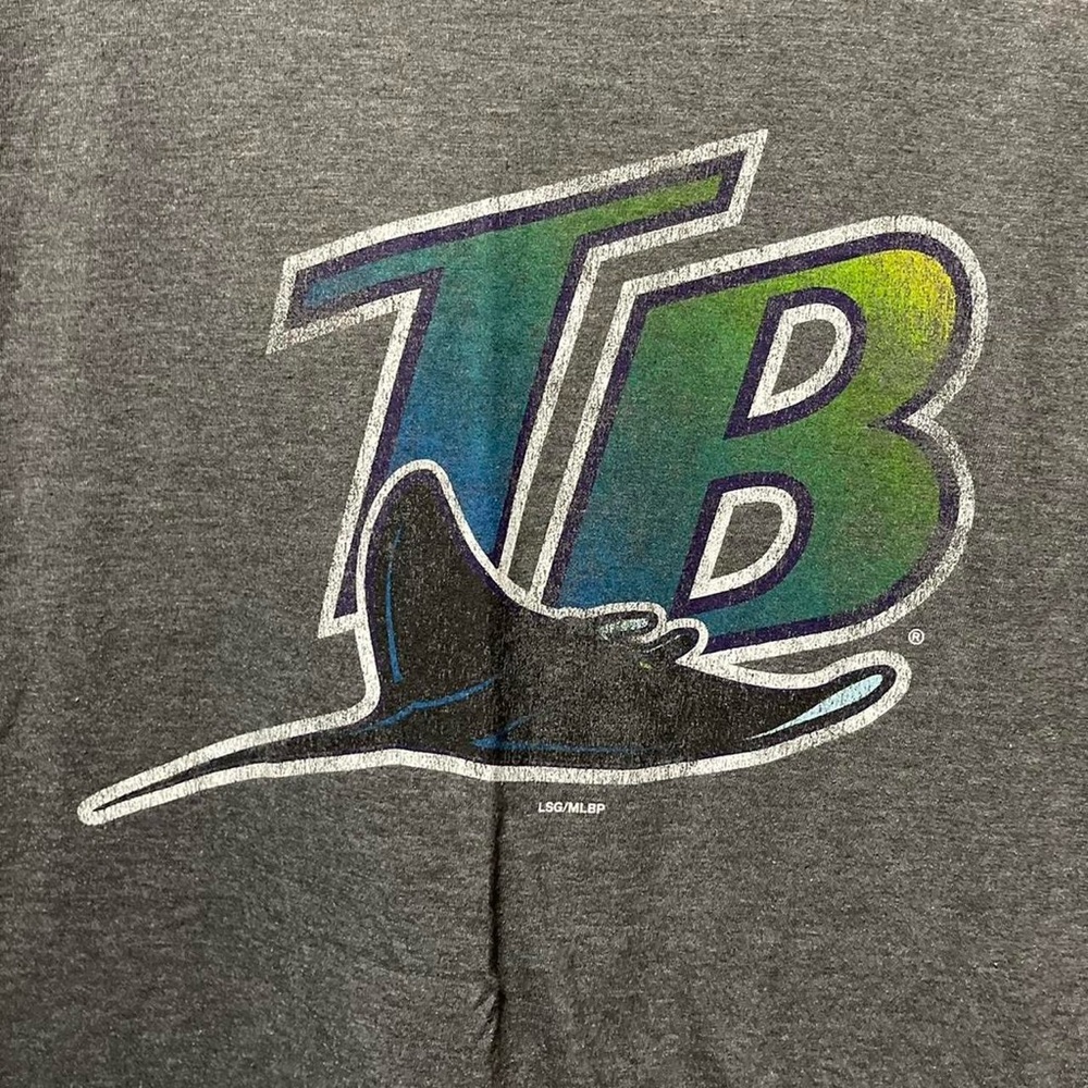 Tampa Bay Devil Rays MLB baseball short sleeve crewneck casual pro sports shirt - Picture 2 of 4